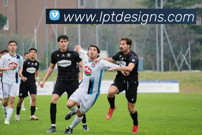 赛事专题整合
